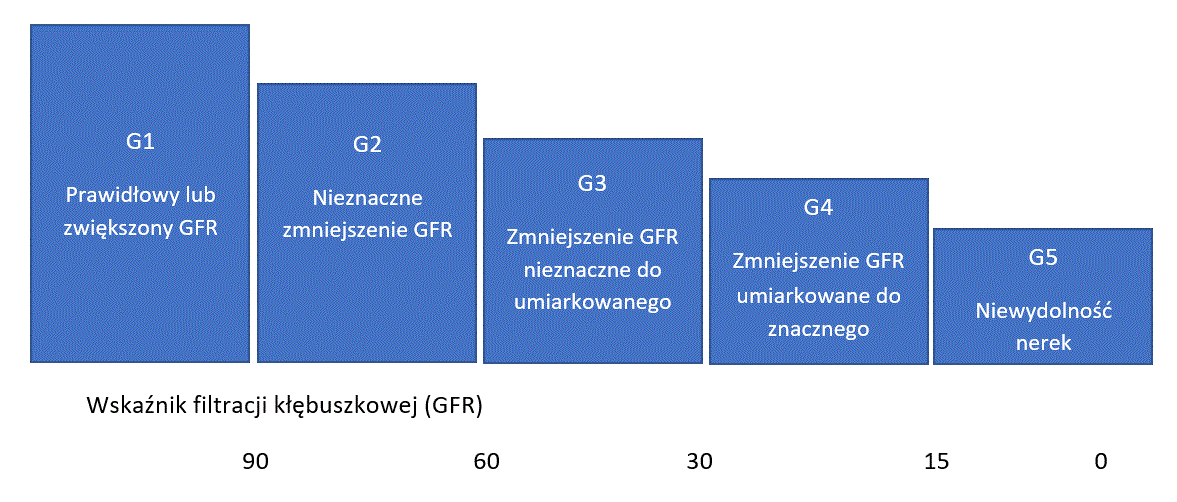 Wskaźnik filtracji kłębuszkowej (GFR)