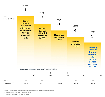 CKD stages