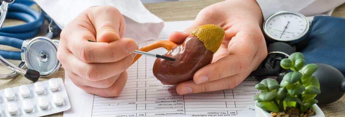 role of the kidneys