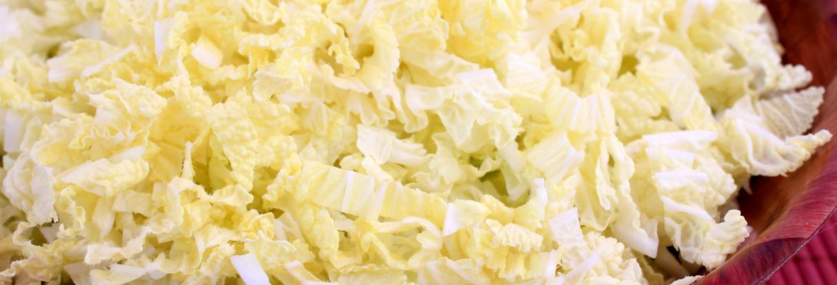 chineese cabbage