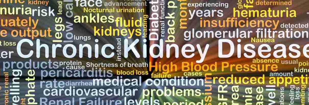Signs of chronic kidney disease